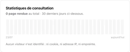 Carte Statistiques de consultation : nombre de pages rendues sur trente jours et mention indiquant qu’aucun visiteur n’est identifié.